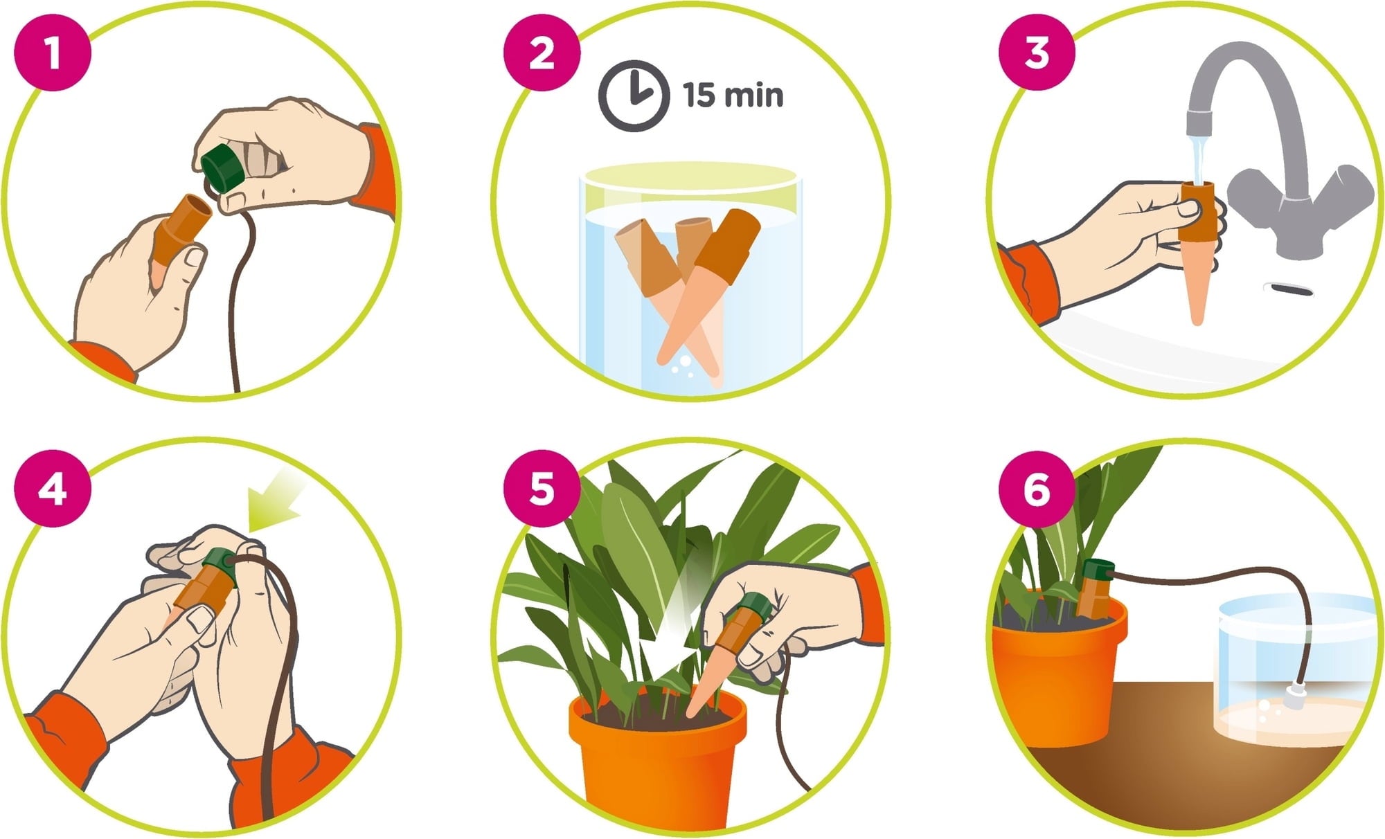 Blumat for Houseplants in a Set - 3 Pieces