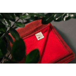 SOFT TOUCH Reversible Blanket by INTERISMO - barolo