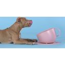United Pets CUP - Hundenapf - pink