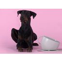 United Pets CUP - Dog Bowl - Pink