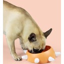 United Pets BOSS - Dog Bowl, Small - Orange/White