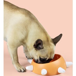 United Pets BOSS - Dog Bowl, Small - Orange/White