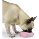 United Pets BOSS - Dog Bowl, Nano - Pink