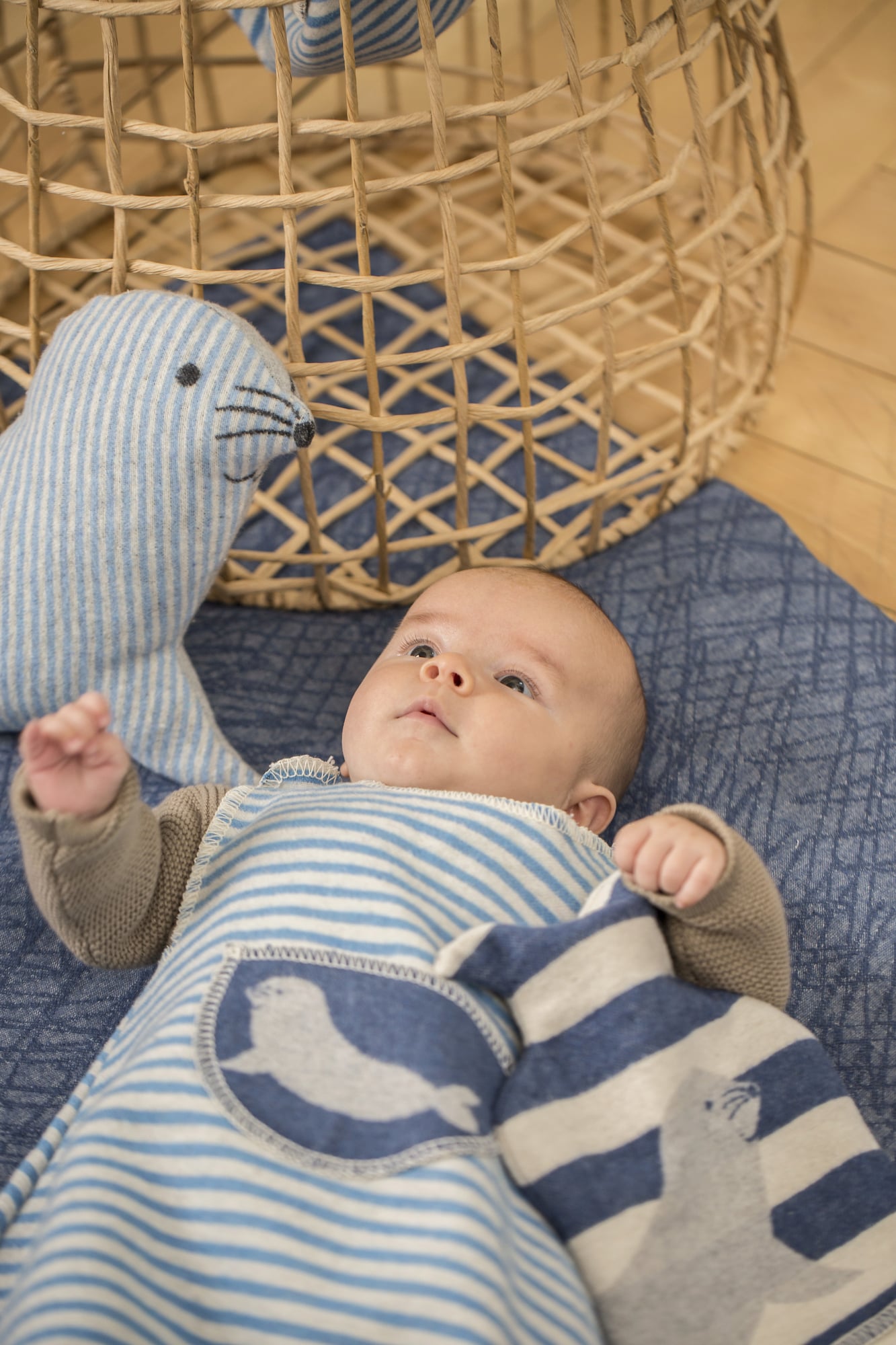 David Fussenegger JUWEL Children's Hot Water Bottle "Seal" 0.8 litres