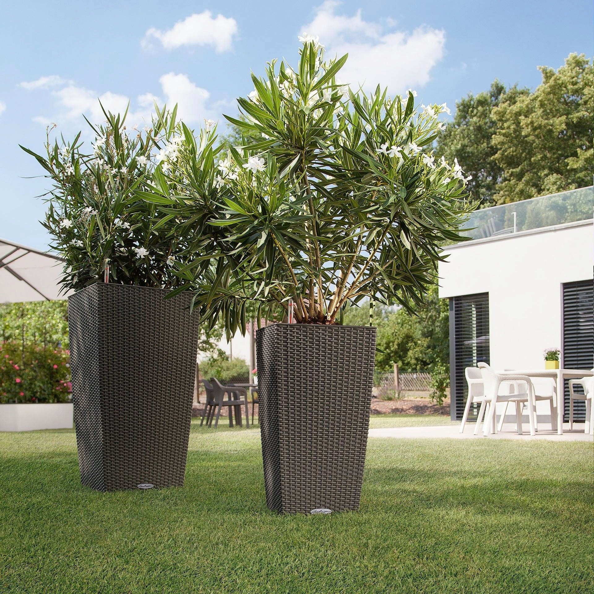 Vaso Fioriera LECHUZA CUBICO Cottage 40 Grigio Chiaro Con Sistema D'Irrigazione Integrato – Per Interni Ed Esterni, Resistente UV, Fatto In Germania