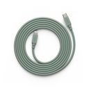 AVOLT Cable 1 USB-C to Lighting  - Oak Green